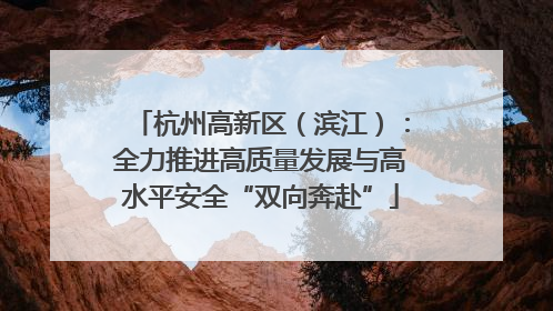 杭州高新区（滨江）：全力推进高质量发展与高水平安全“双向奔赴”